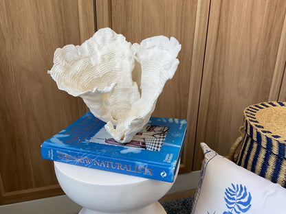 Cup Rugosa Coral Fossil Specimen: 9” x 8.5” x 8.5” Coastal Beach House Décor