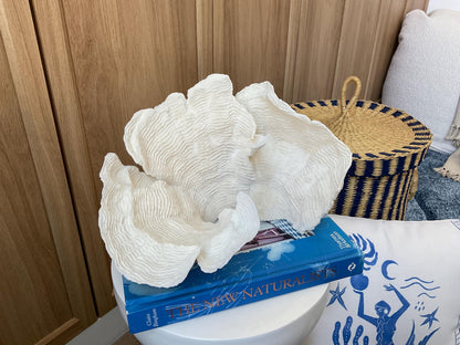 Cup Rugosa Coral Fossil Specimen: 10.5” x 7” x 8” Coastal Beach House Décor
