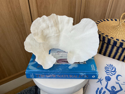 Cup Rugosa Coral Fossil Specimen: 11” x 6” x 7” Coastal Beach House Décor