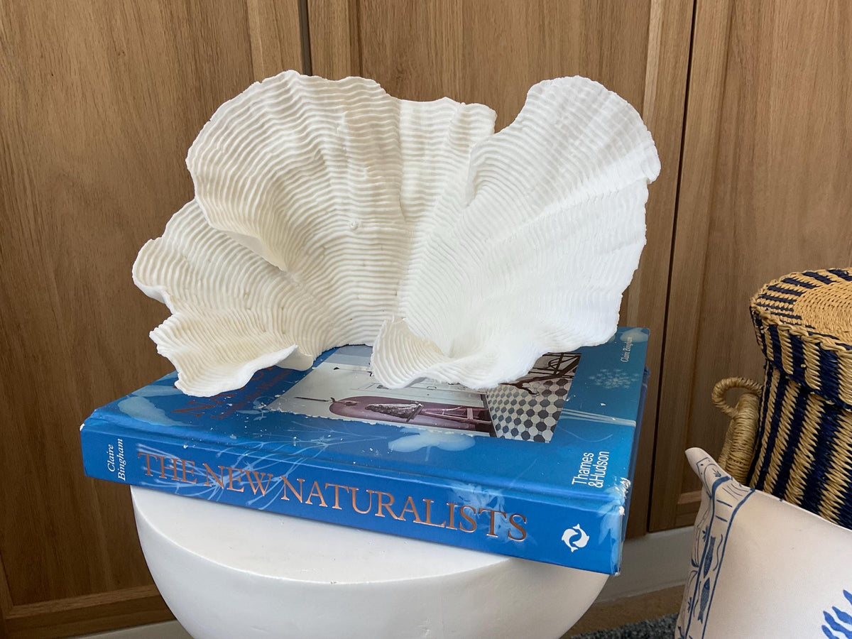 Cup Rugosa Coral Fossil Specimen: 11” x 6” x 7” Coastal Beach House Décor