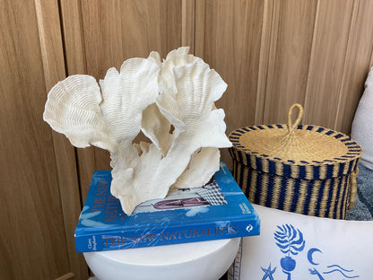 Cup Rugosa Coral Fossil Specimen: 12.5” x 9” x 6” Coastal Beach House Décor