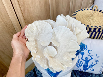Natural Spiral Cup Coral Fossil: 14" x 11" x 7" Coastal Beach House White Décor