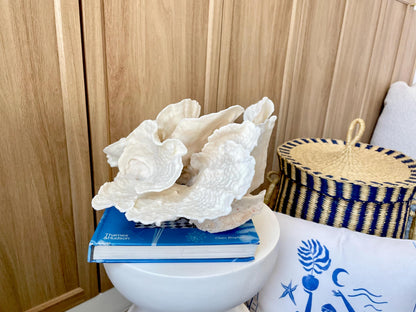 Natural Spiral Cup Coral Fossil: 14" x 11" x 7" Coastal Beach House White Décor
