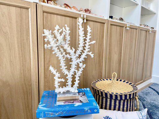 Mounted Octopus Coral Natural Fossil: 15.5"x10"x4" Coastal Beach Home Décor