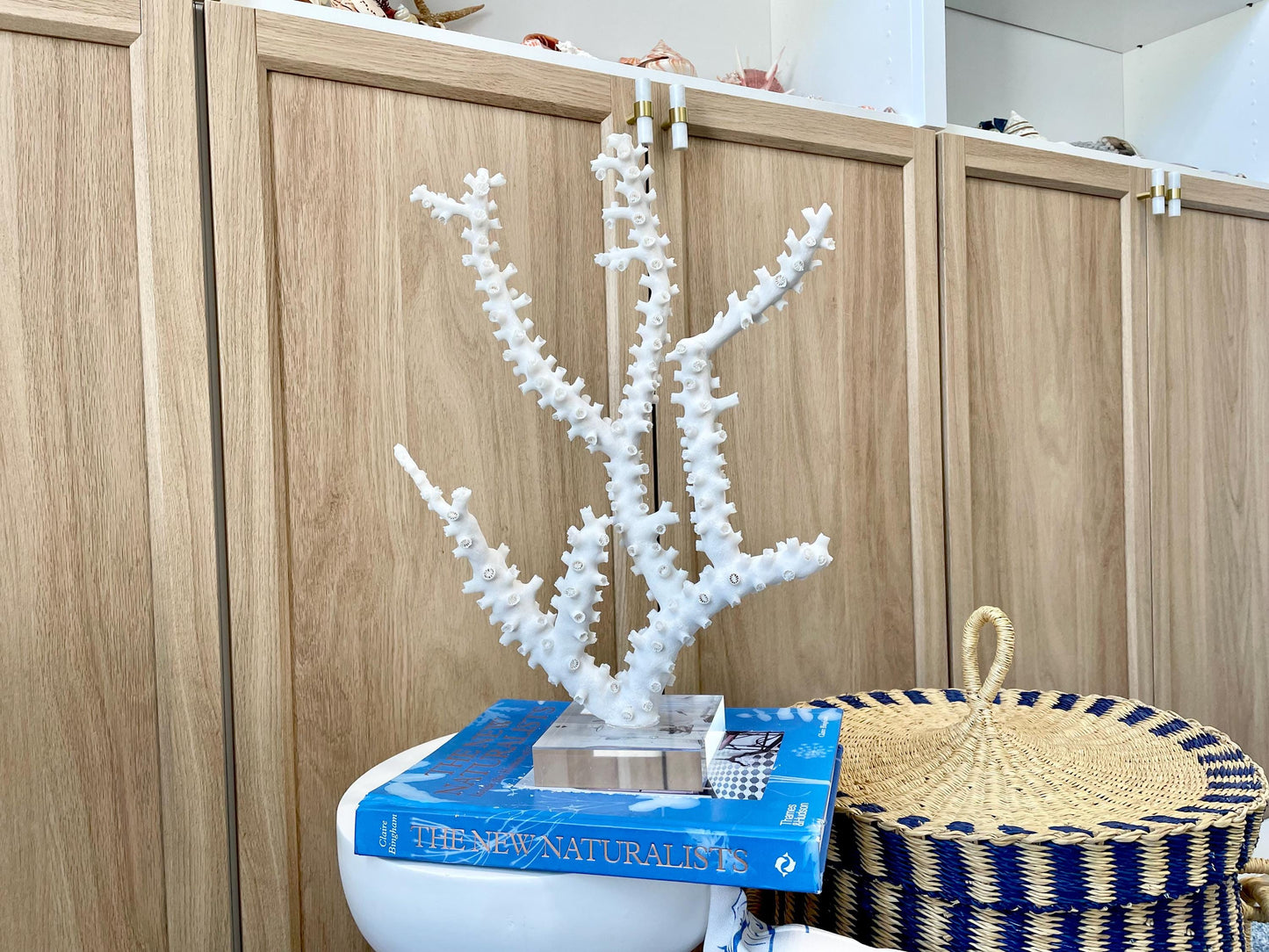 Mounted Octopus Coral Natural Fossil: 15"x10.5"x4" Coastal Beach Home Décor