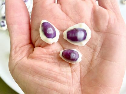 Purple Top Money Cowrie Shells *You Choose Quantity* .5-1" White Small Craft Seashells