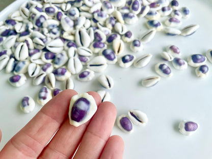 Purple Top Money Cowrie Shells *You Choose Quantity* .5-1" White Small Craft Seashells