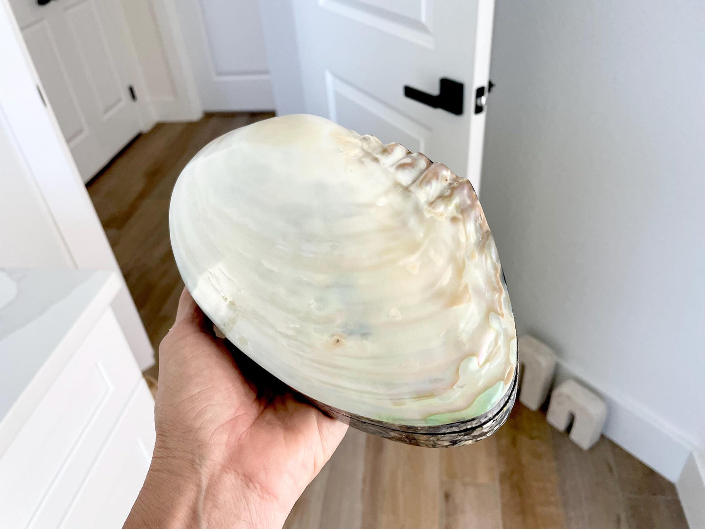 Handmade 8" Mussel Shell Jewelry Gift Box Iridescent Mother of Pearl Coastal Décor