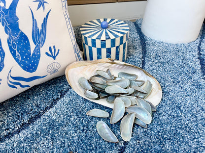 Light Blue Mussel Shells: 1.5-2.5" *200 Pieces* Craft Seashells