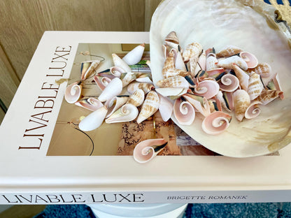 PINK LILY CUT Shells 1.25"-1.75" Long *You Choose Quantity* Slices Craft Seashells