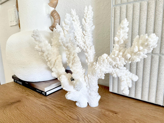 Branch Coral Fossil Specimen: 13" x 12"x 8" Coastal Beach House Décor