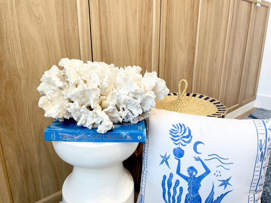 Natural Rugosa Coral Fossil Specimen: 15"x9"x6.75" Coastal Beach Home Décor