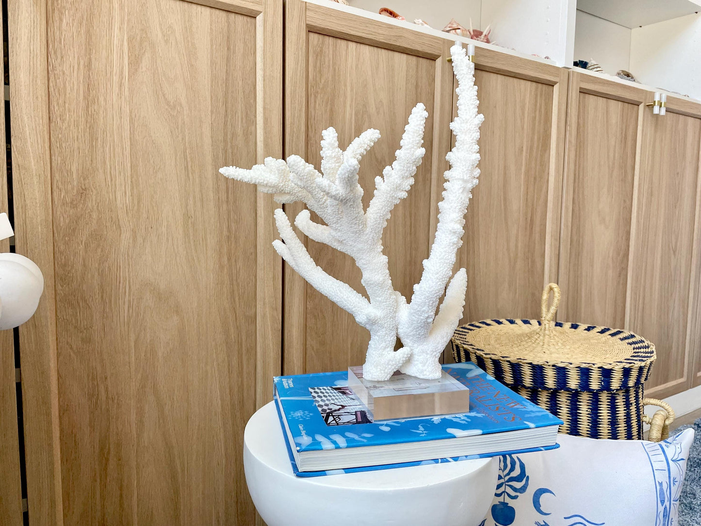 Mounted BRANCH CORAL 14.5" x 12" x 8.5" Fossil Specimen Coastal Display Beach House Décor