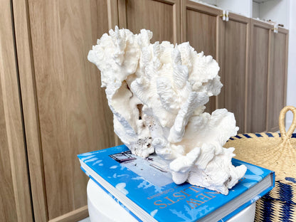 Natural Rugosa Coral Fossil Specimen: 12" x 8.5" x 6.5" Coastal Beach Home Décor