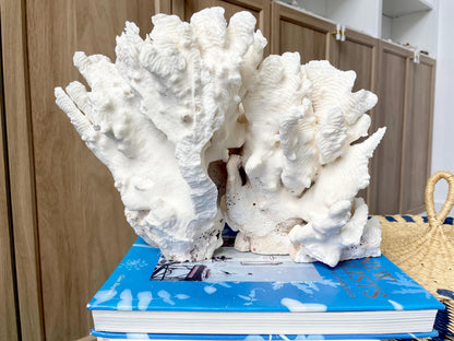 Natural Rugosa Coral Fossil Specimen: 12" x 8.5" x 6.5" Coastal Beach Home Décor