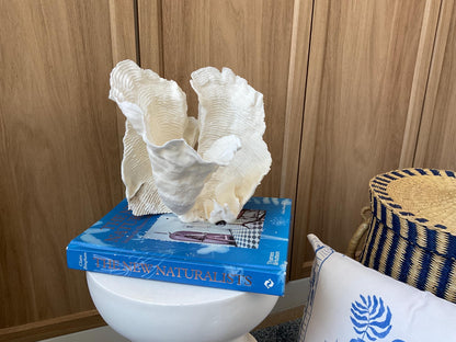Cup Rugosa Coral Fossil Specimen: 9” x 8.5” x 8.5” Coastal Beach House Décor