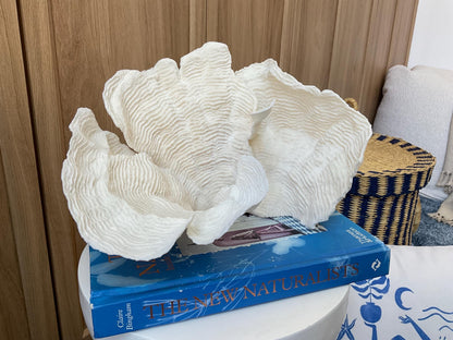 Cup Rugosa Coral Fossil Specimen: 10.5” x 7” x 8” Coastal Beach House Décor