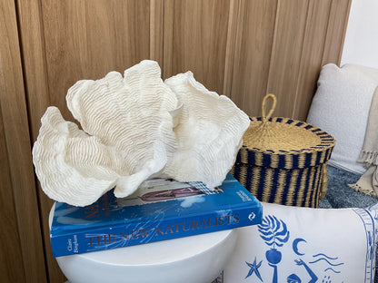 Cup Rugosa Coral Fossil Specimen: 10.5” x 7” x 8” Coastal Beach House Décor