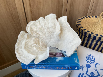 Cup Rugosa Coral Fossil Specimen: 10.5” x 7” x 8” Coastal Beach House Décor