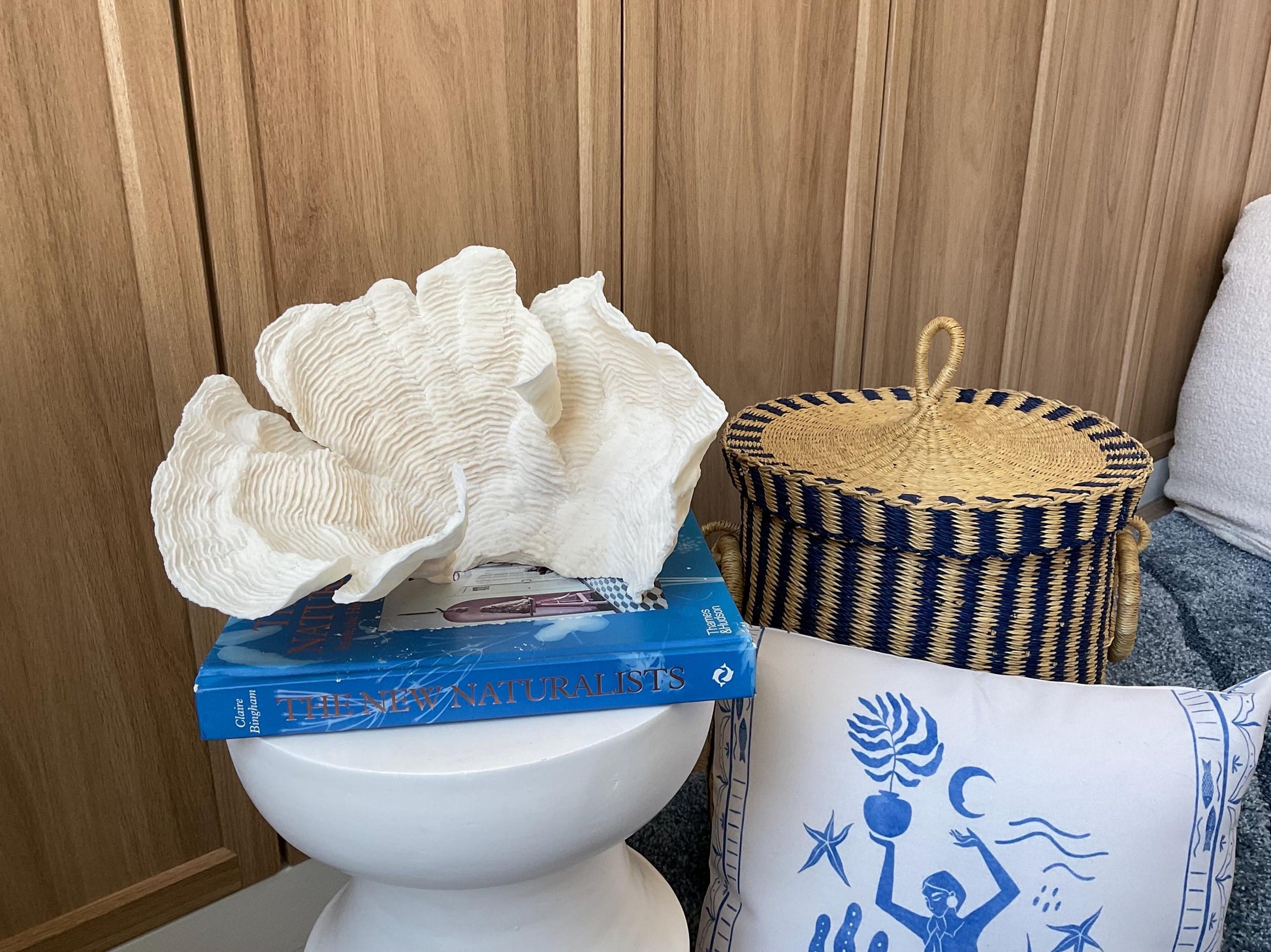 Cup Rugosa Coral Fossil Specimen: 10.5” x 7” x 8” Coastal Beach House Décor