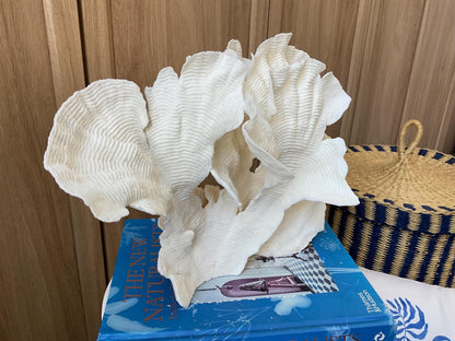 Cup Rugosa Coral Fossil Specimen: 12.5” x 9” x 6” Coastal Beach House Décor