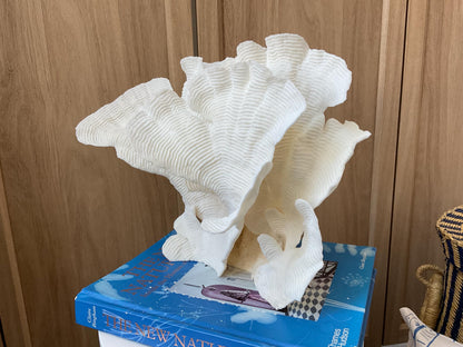 Cup Rugosa Coral Fossil Specimen: 12.5” x 9” x 6” Coastal Beach House Décor