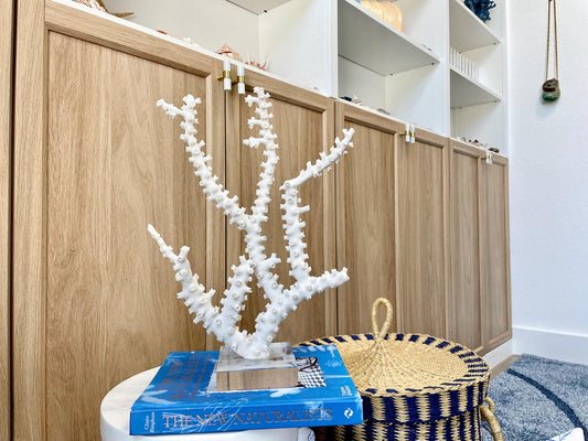 Mounted Octopus Coral Natural Fossil: 15"x10.5"x4" Coastal Beach Home Décor