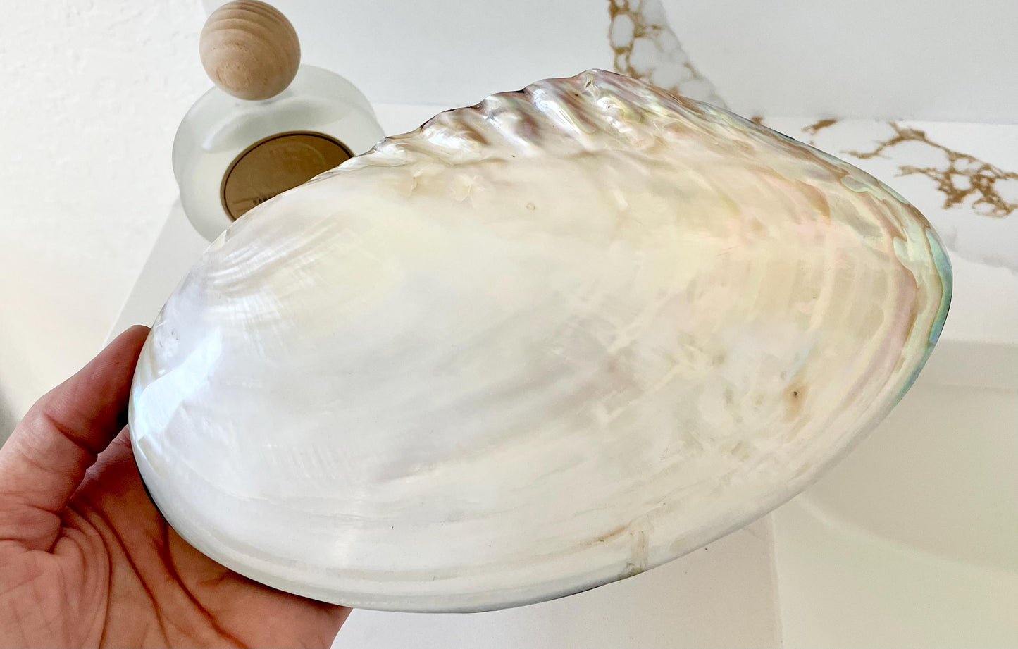 Handmade 8" Mussel Shell Jewelry Gift Box Iridescent Mother of Pearl Coastal Décor