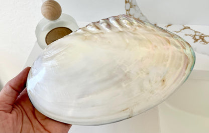 Handmade 8" Mussel Shell Jewelry Gift Box Iridescent Mother of Pearl Coastal Décor