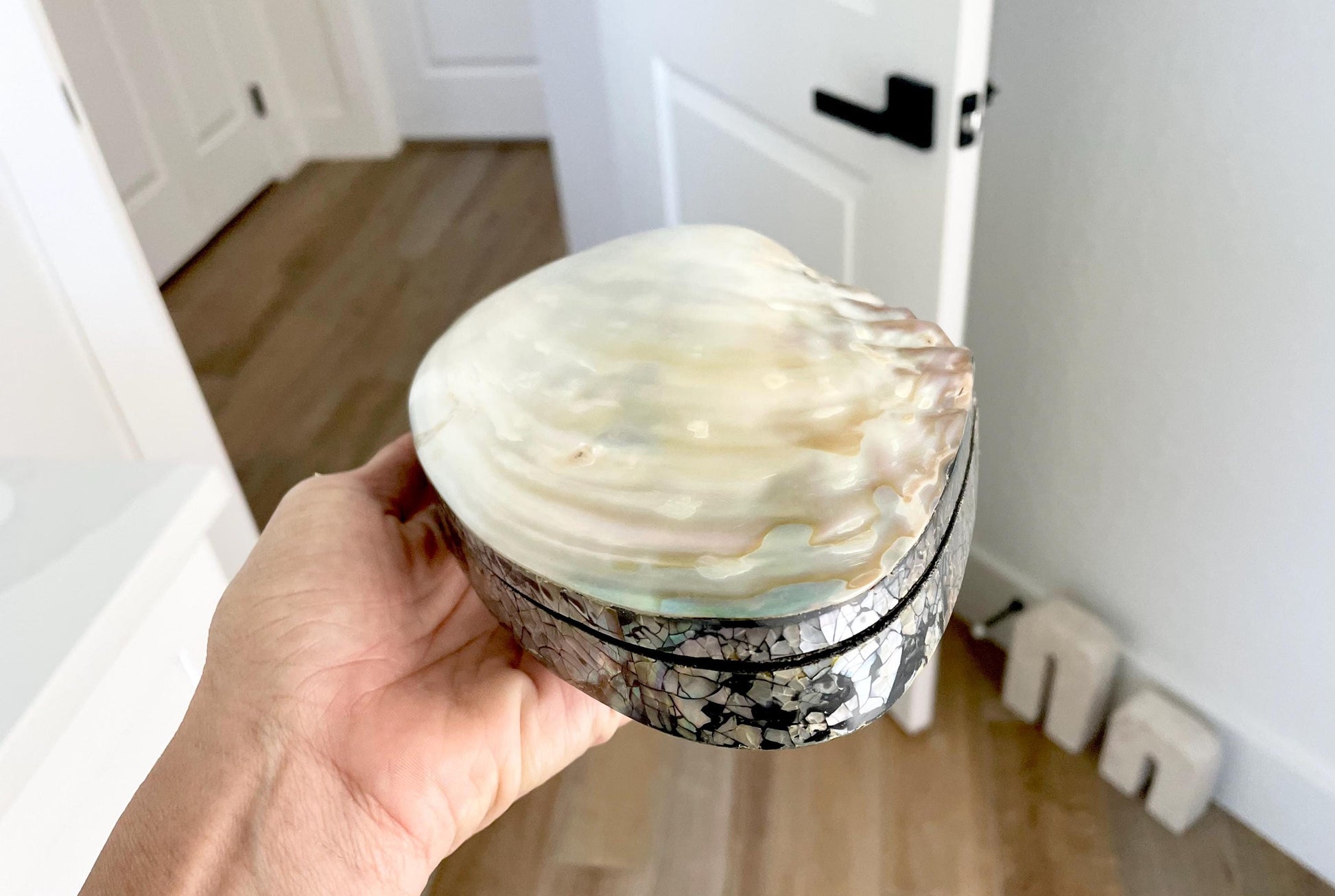 Handmade 8" Mussel Shell Jewelry Gift Box Iridescent Mother of Pearl Coastal Décor