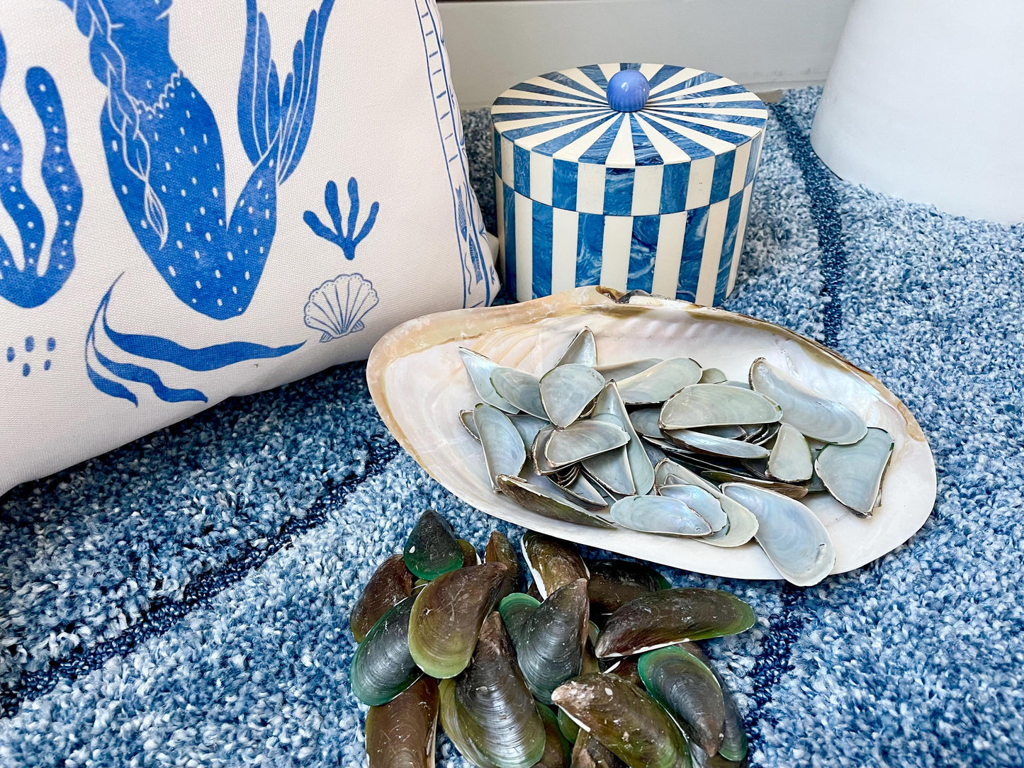 Light Blue Mussel Shells: 1.5-2.5" *200 Pieces* Craft Seashells