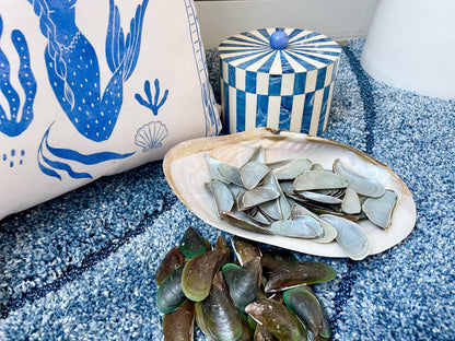 Light Blue Mussel Shells: 1.5-2.5" *200 Pieces* Craft Seashells