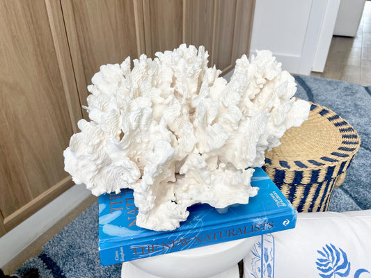 Natural Rugosa Coral Fossil Specimen: 13.5" x 10.25" x 7" Coastal Beach Home Décor