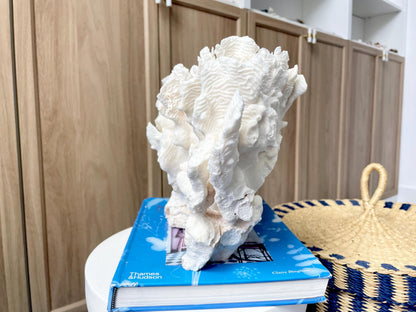Natural Rugosa Coral Fossil Specimen: 12" x 8.5" x 6.5" Coastal Beach Home Décor