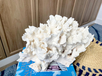 Natural Rugosa Coral Fossil Specimen: 12" x 8.5" x 6.5" Coastal Beach Home Décor