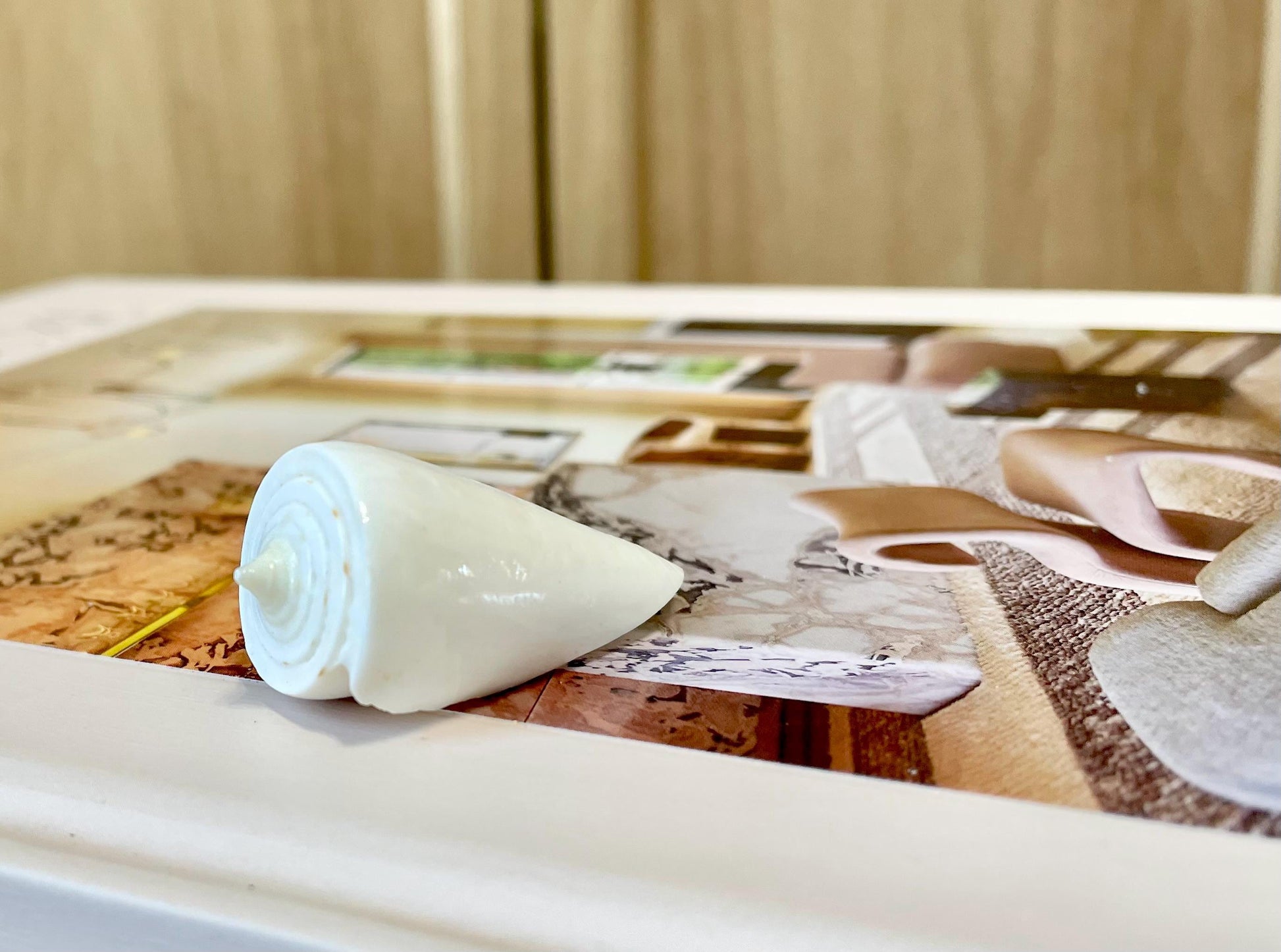 Pure White Natural Cone Shells: 1.5-2.5" You Choose Size, Craft Jewelry Supply Seashell