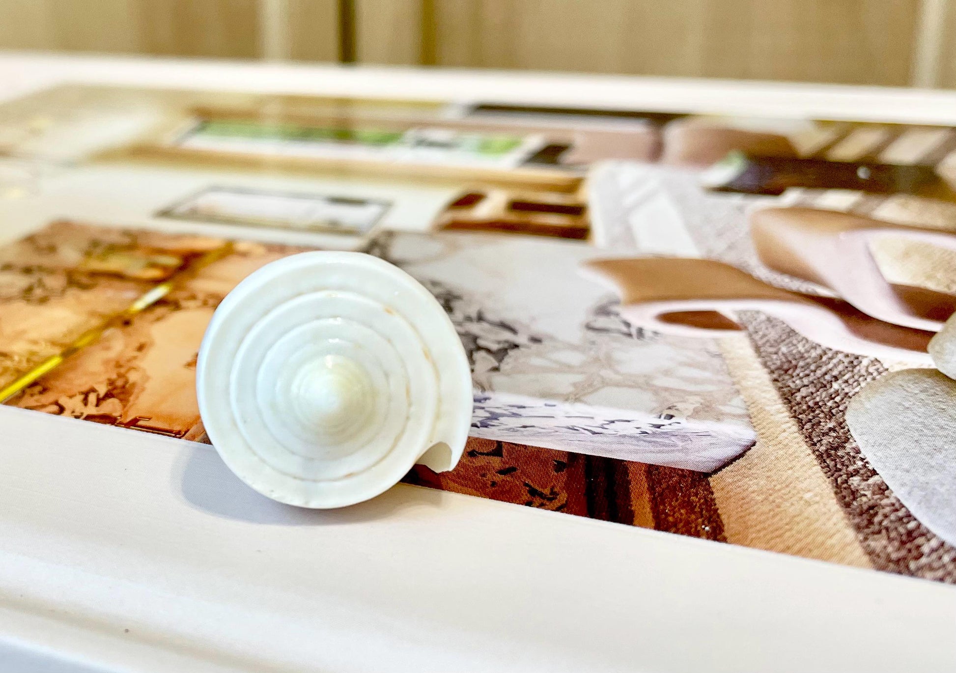 Pure White Natural Cone Shells: 1.5-2.5" You Choose Size, Craft Jewelry Supply Seashell