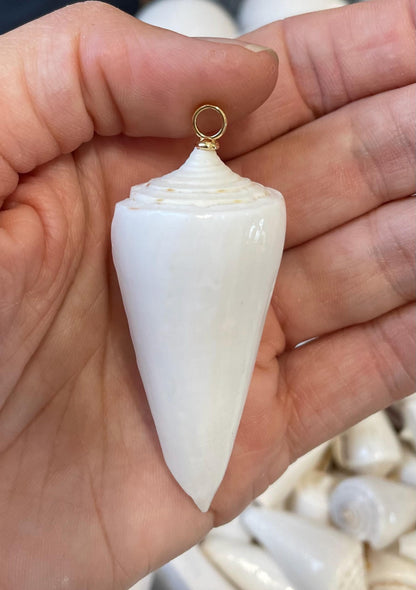 Pure White Natural Cone Shells: 1.5-2.5" You Choose Size, Craft Jewelry Supply Seashell