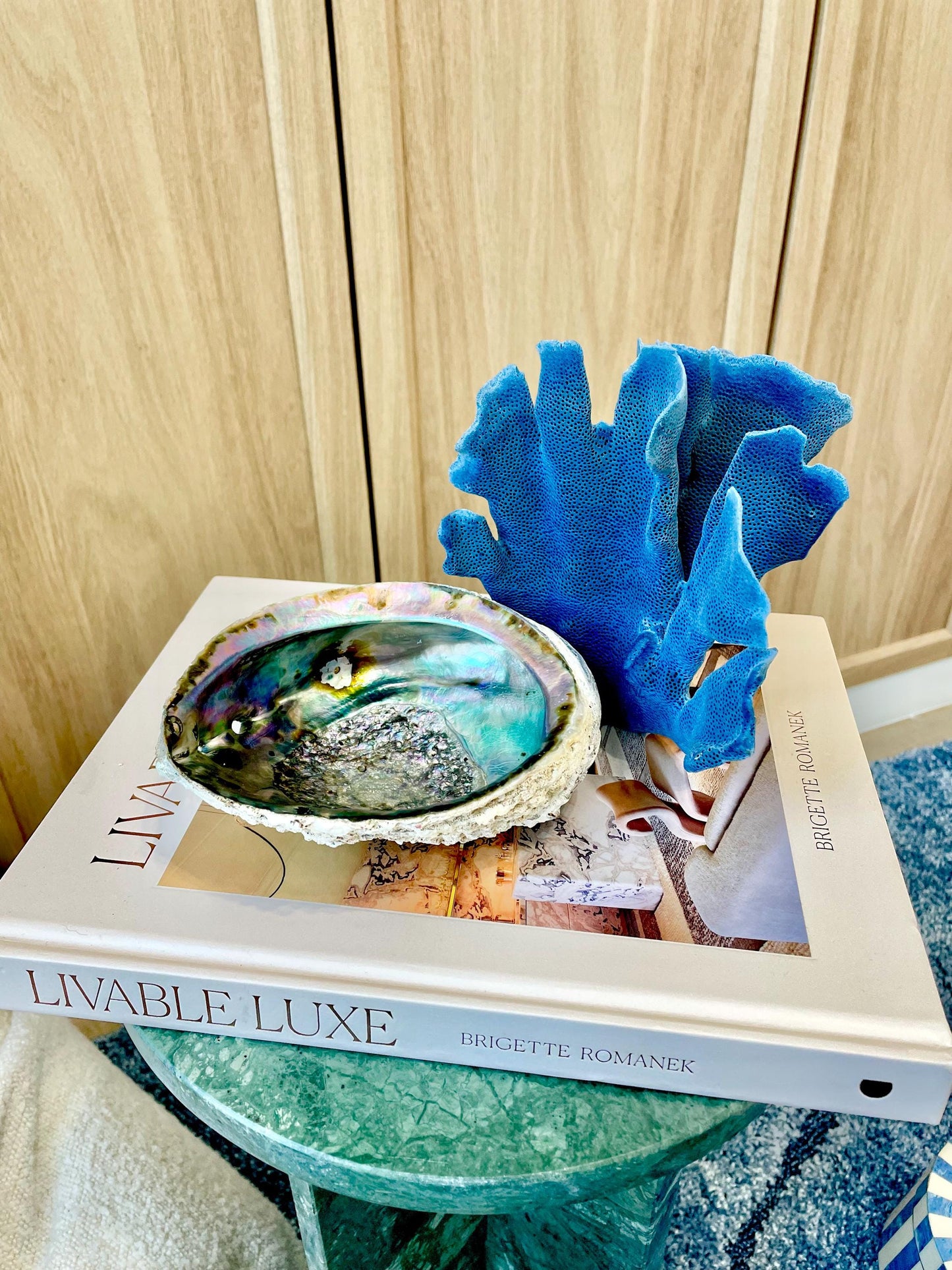 Raw Pink Deep Abalone Sage Shell 6-7" Blue Purple Iridescent Coastal Décor Seashell