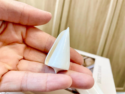 Pure White Natural Cone Shells: 1.5-2.5" You Choose Size, Craft Jewelry Supply Seashell
