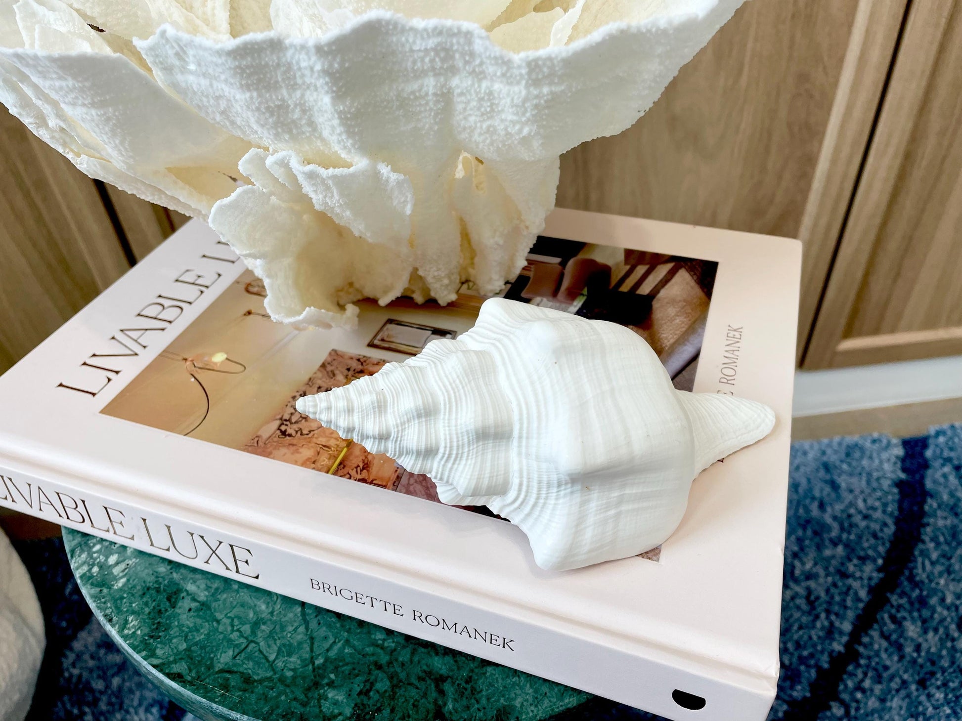 Sacred Chank Shells *All Sizes* Crisp White Display Seashell Coastal Décor