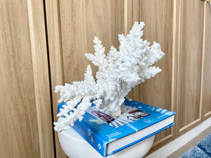 Branch Coral Fossil Specimen: 14.5" x 8.75"x 7" Coastal Beach House Décor