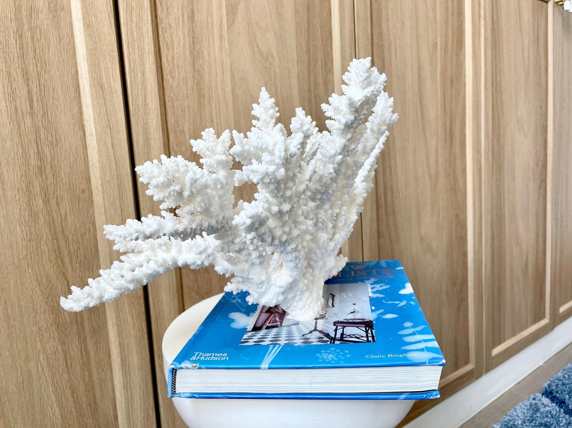 Branch Coral Fossil Specimen: 14.5" x 8.75"x 7" Coastal Beach House Décor