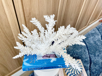 Branch Coral Fossil Specimen: 14.5" x 8.75"x 7" Coastal Beach House Décor