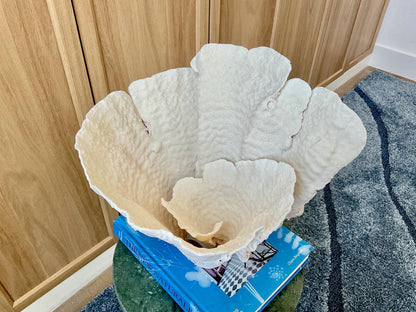 Natural Spiral Cup Coral Fossil: 13" x 11" x 11" Coastal Beach House White Décor
