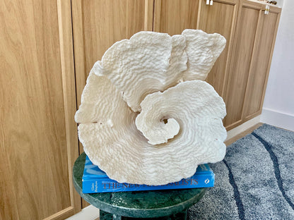 Natural Spiral Cup Coral Fossil: 13" x 11" x 11" Coastal Beach House White Décor