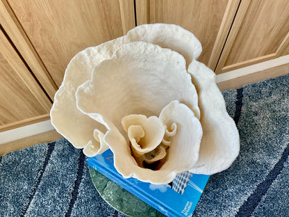 Natural Spiral Cup Coral Fossil: 11" x 9.75" x 11" Coastal Beach House White Décor