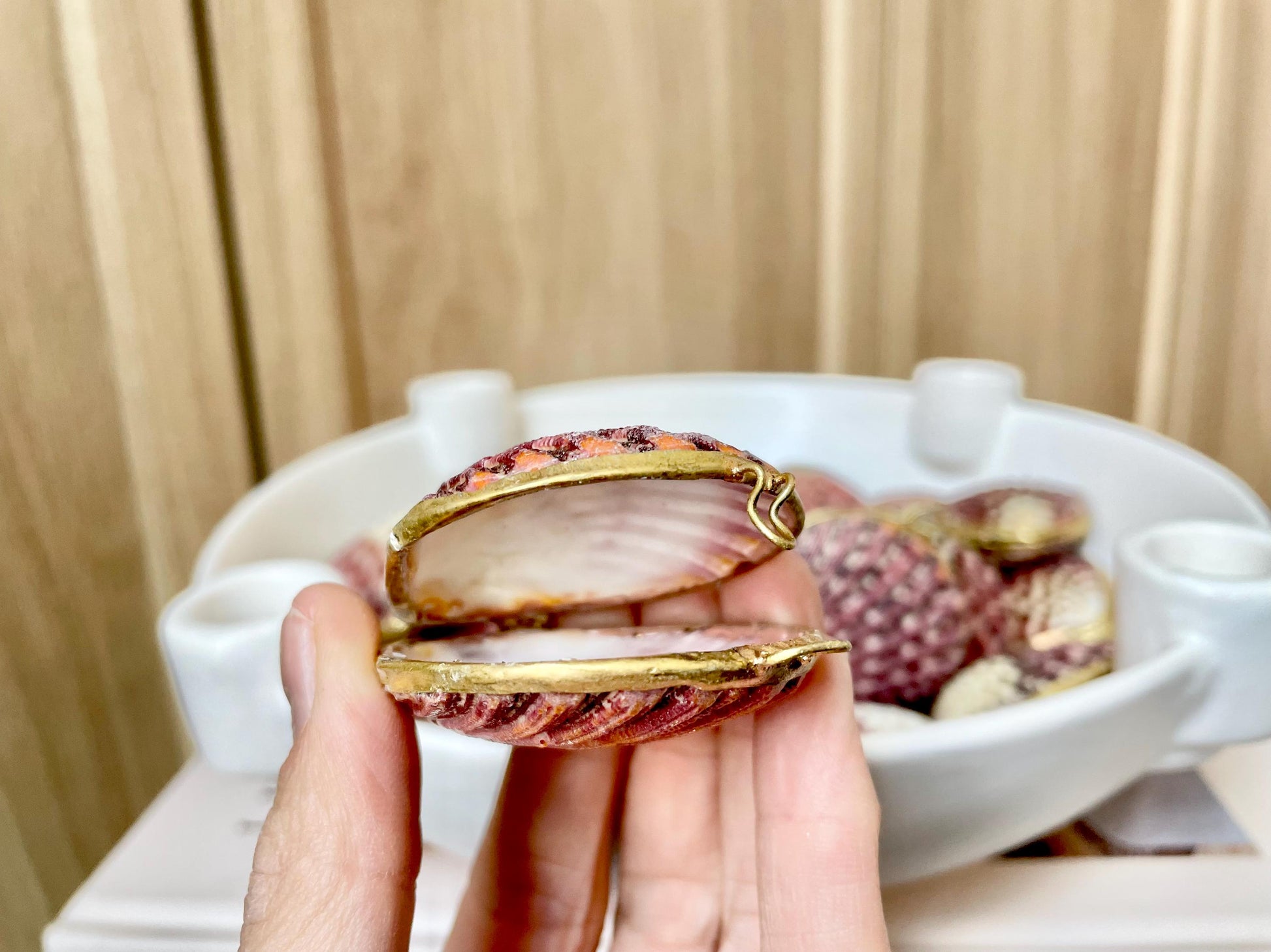 Shell Coin Purse Coastal Gift Box: Cowrie, Clam, Scallop Seashells