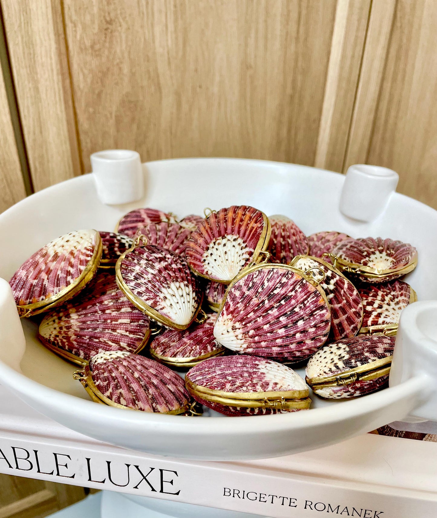 Shell Coin Purse Coastal Gift Box: Cowrie, Clam, Scallop Seashells