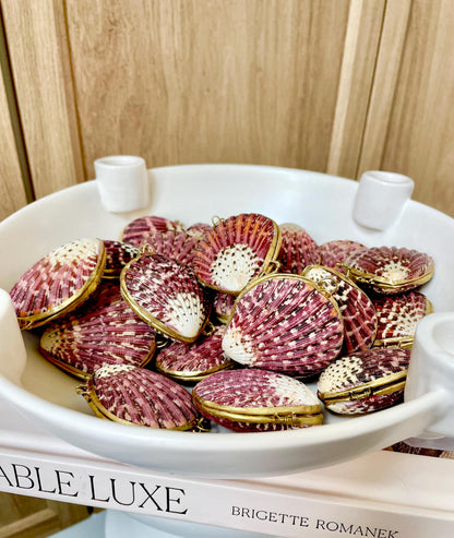 Shell Coin Purse Coastal Gift Box: Cowrie, Clam, Scallop Seashells